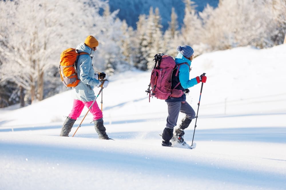 Raquetas de nieve en los bosques del Val d'Aran