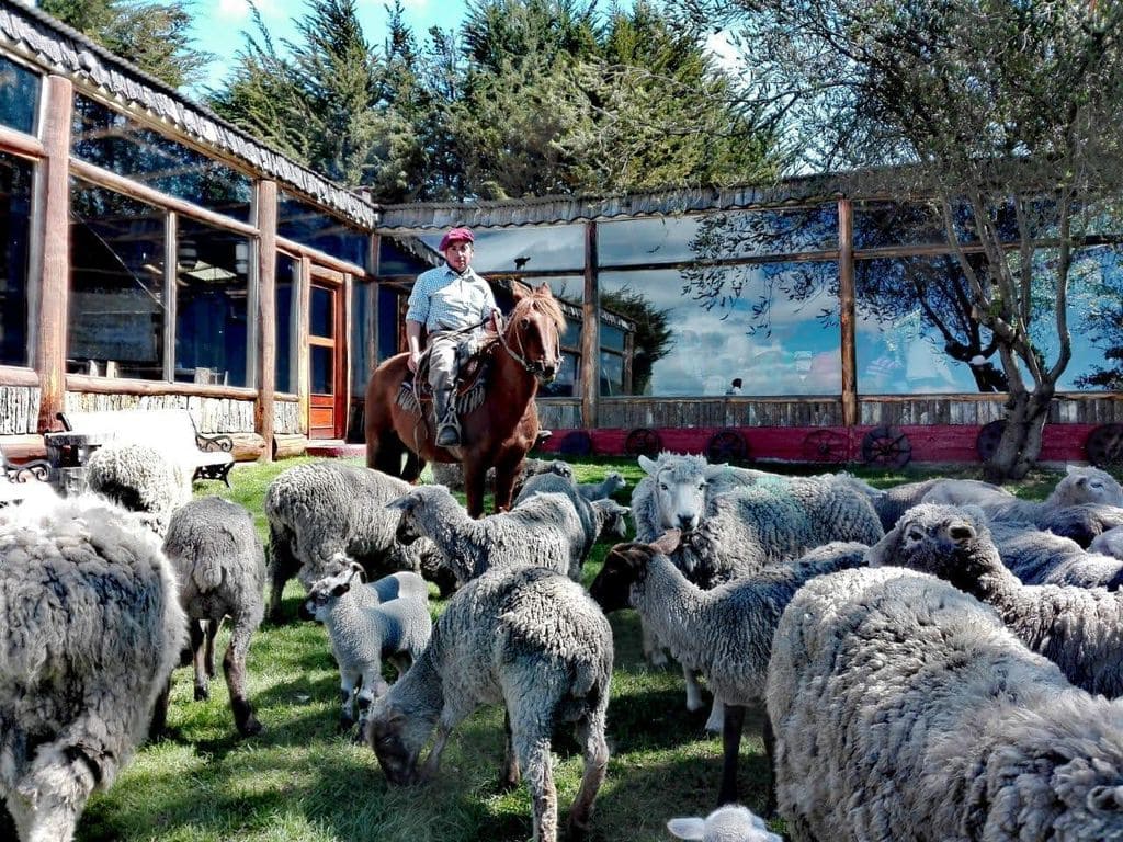 Colaboración con comunidades locales