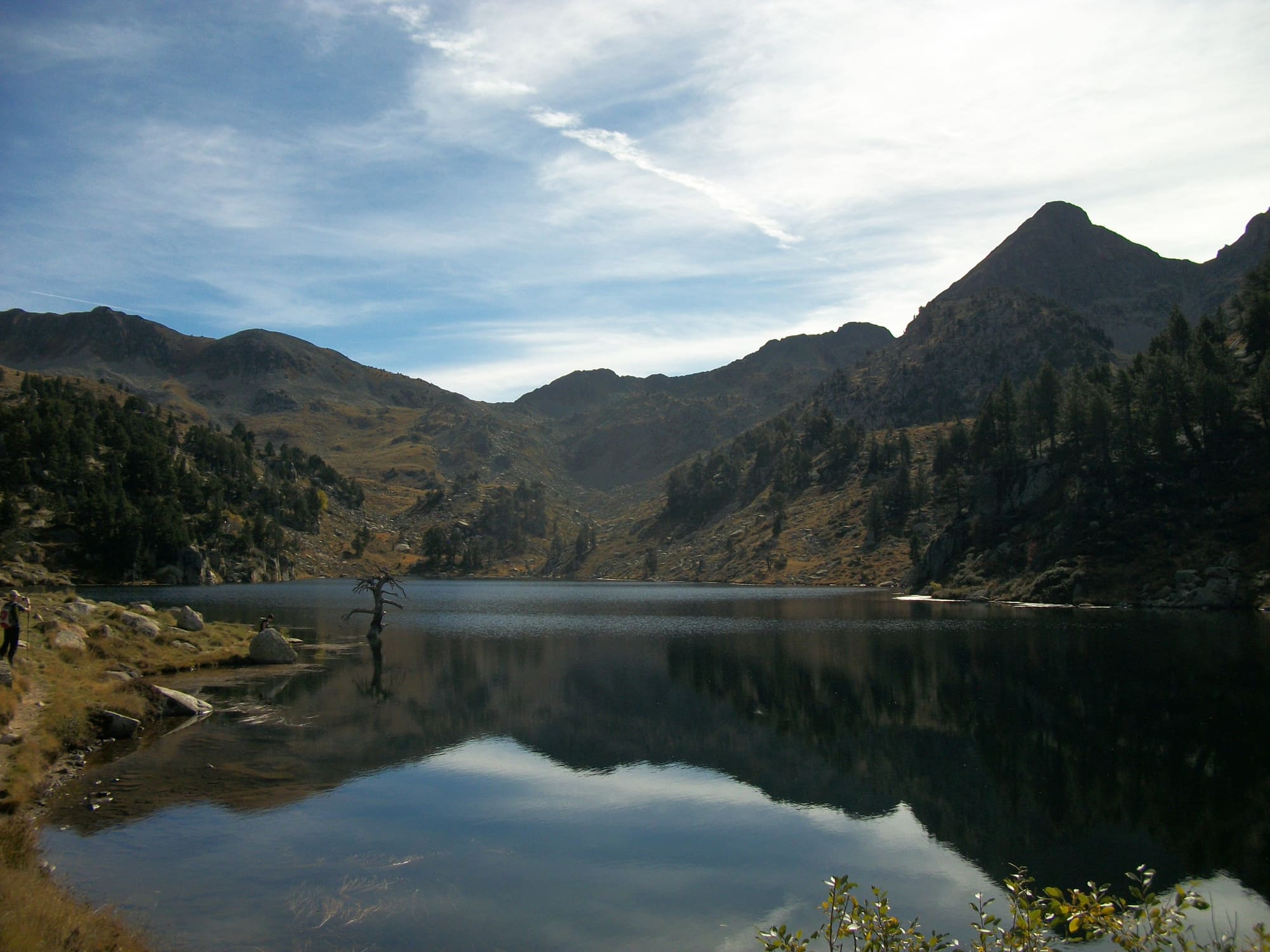 Lago de Baciver con reflejo de las montañas y un árbol seco en la orilla