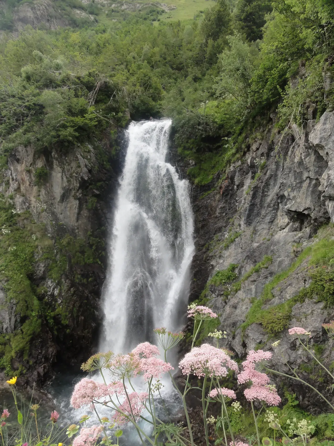 Bassa d'Oles · foto 5