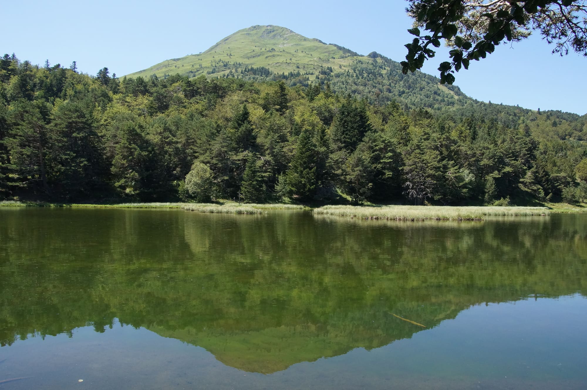 Bassa Doles 1