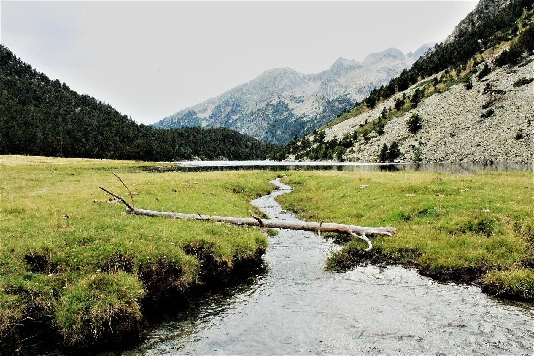 Prado y arroyo del Estany Llong, en el Parque Nacional de Aigüestortes i Estany de Sant Maurici