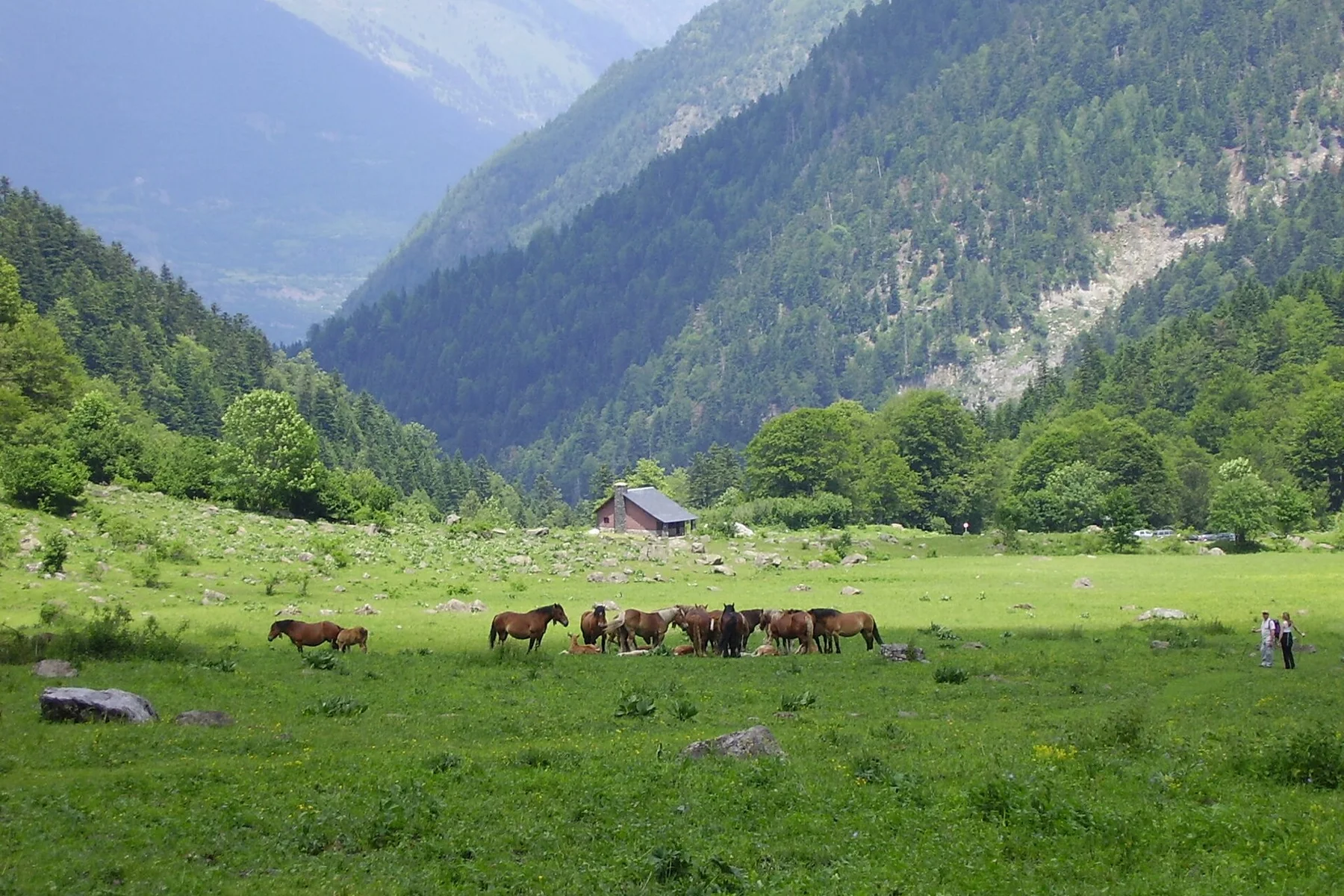 Paisaje de montaña en el Val d'Aran