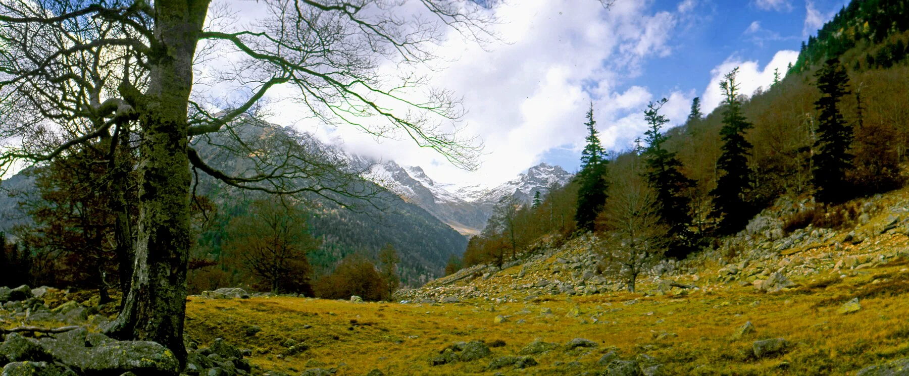 Val d'Aran en temporada de verano
