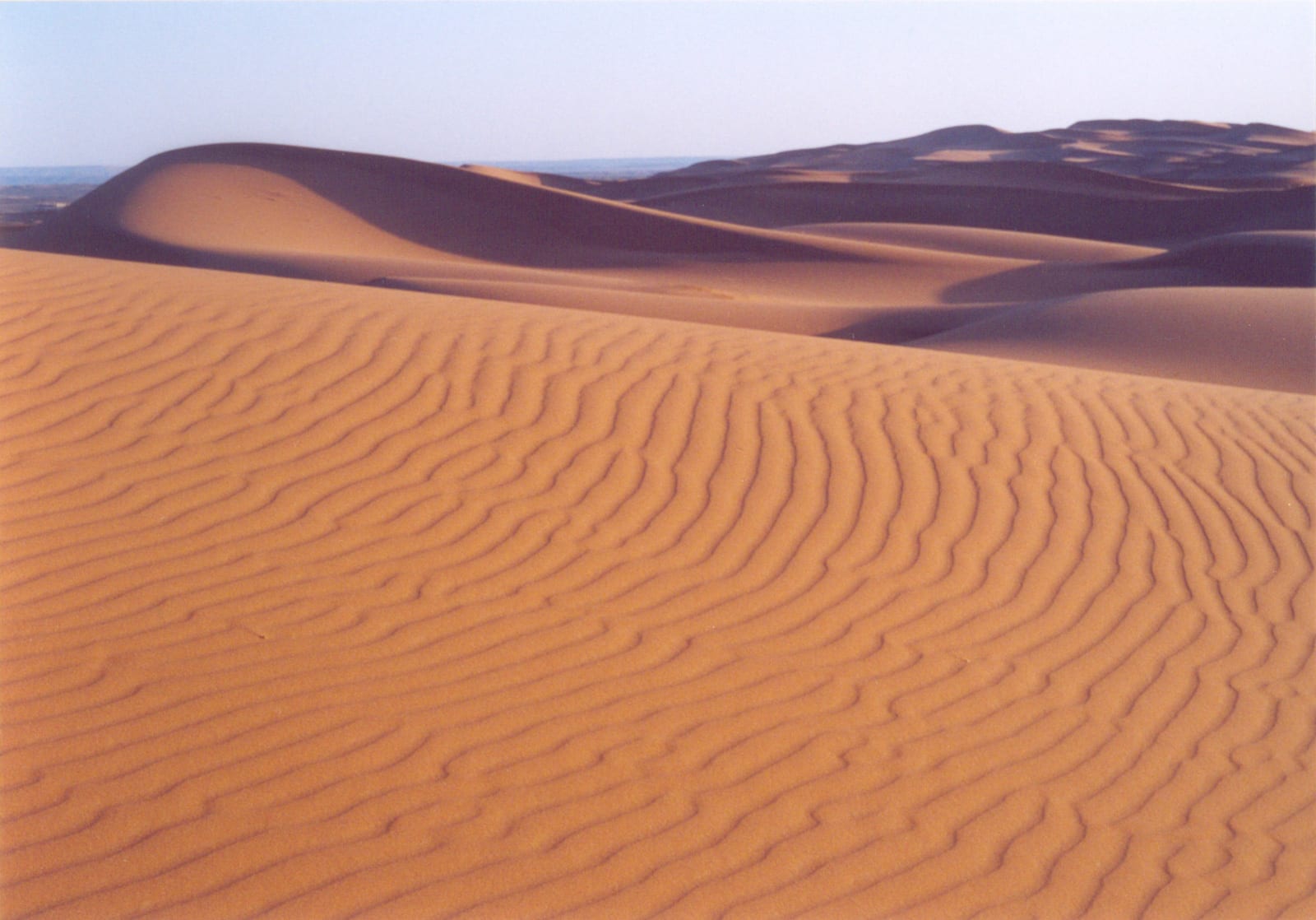 Una noche en el campamento del desierto