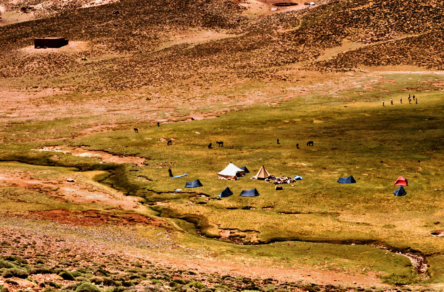 Travesía hacia el valle del M'Goun