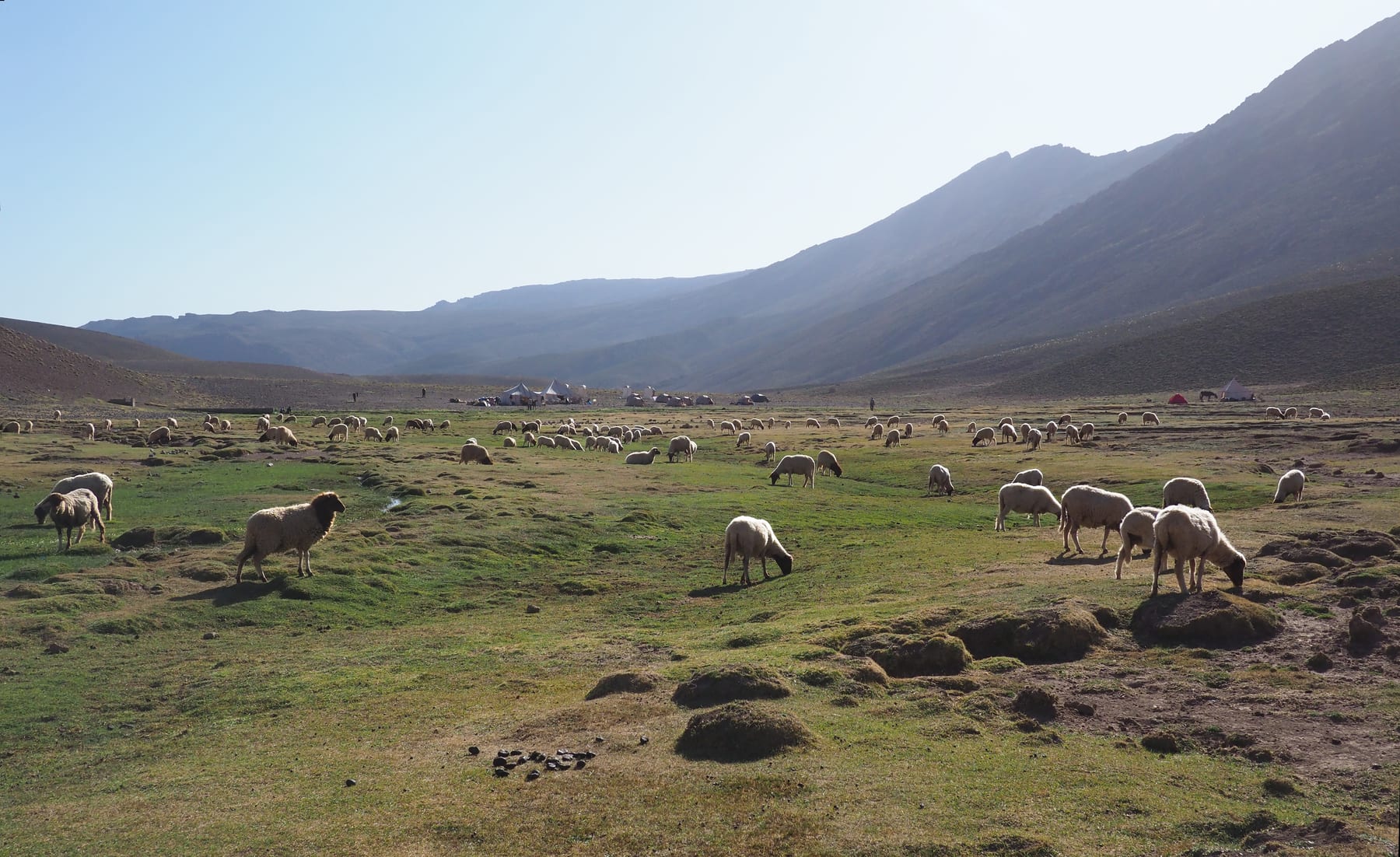 Altiplano de Tarkeddit en el Atlas central